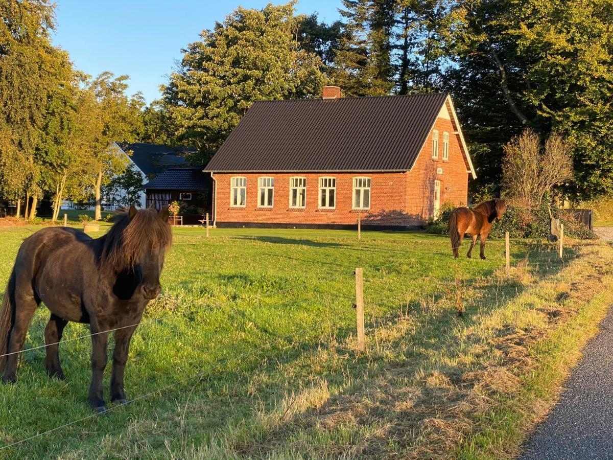 Вилла Hyggelig Aftaegtsbolig I Hjertet Af Sonderjylland Branderup Экстерьер фото