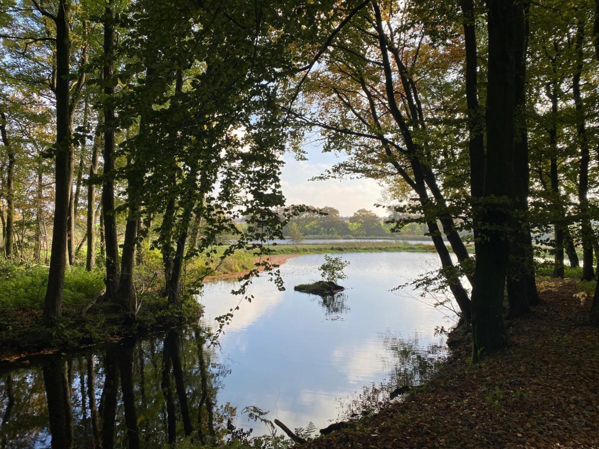 Вилла Hyggelig Aftaegtsbolig I Hjertet Af Sonderjylland Branderup Экстерьер фото
